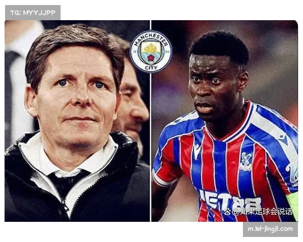 水晶宫豪掷近9000万欧重组锋线 拉尔森约翰逊成关键引援